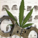 cannabis-handcuffs